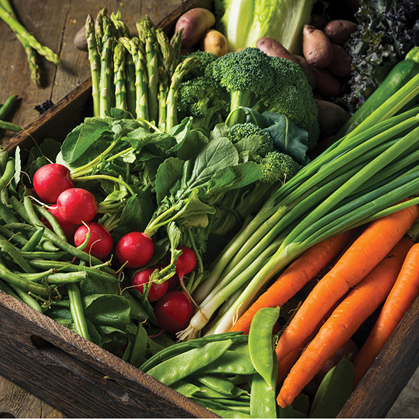 Healthy For Less